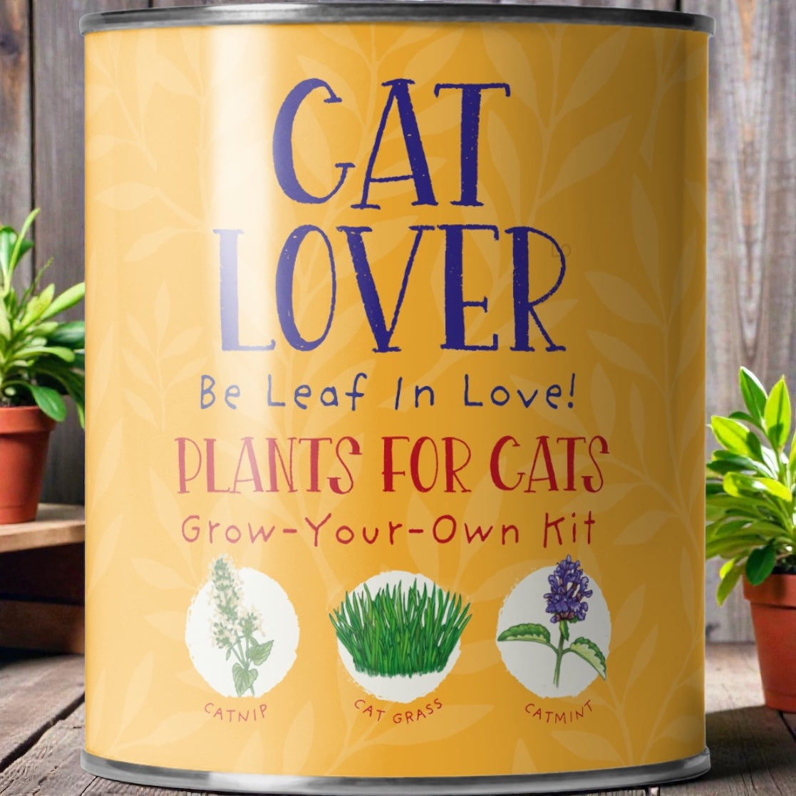 A Grow Your Own Plants for Cats Kit available to buy from Fig and Rose Home.