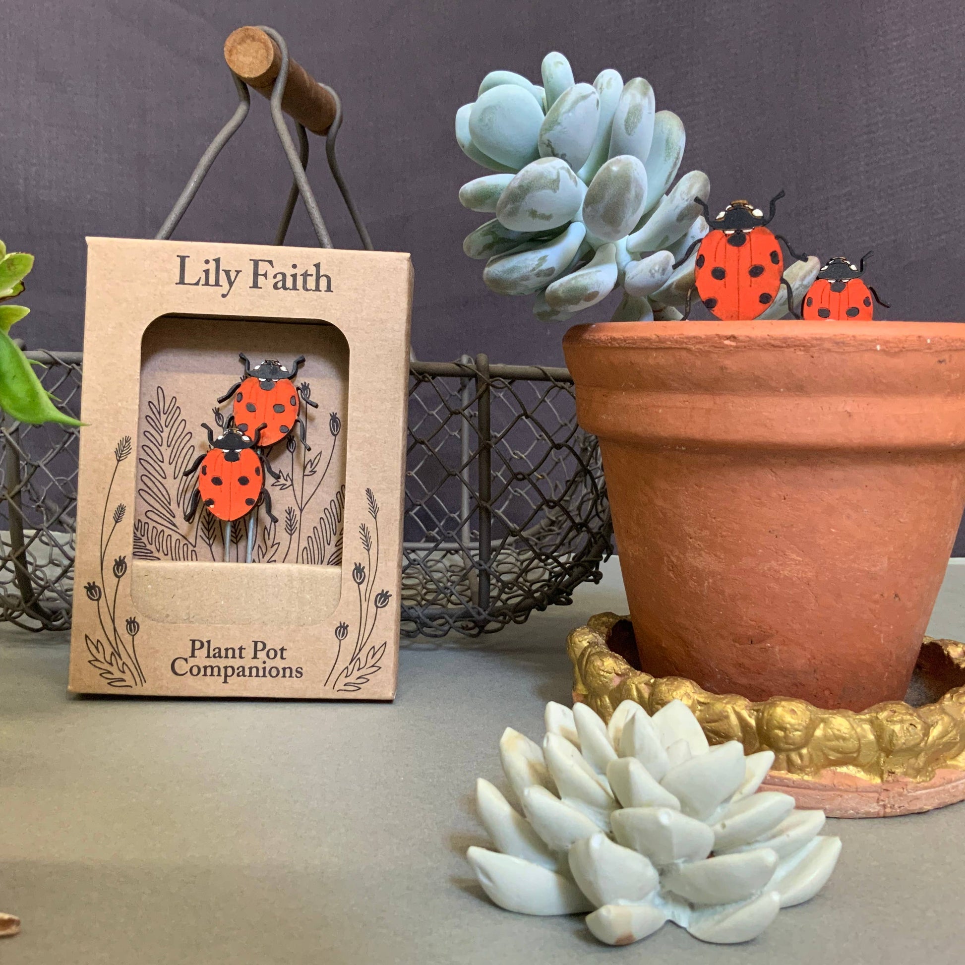 A Ladybird Plant Pot Companions available to buy from Fig and Rose Home.