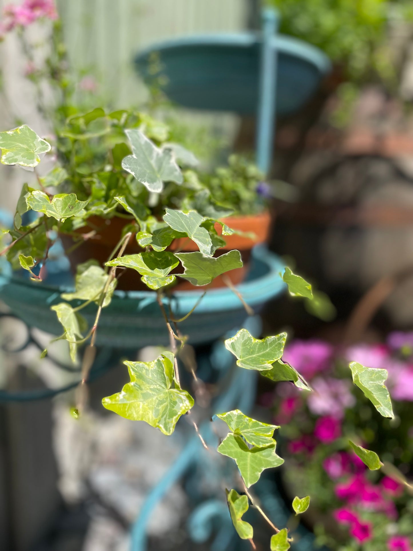 Metal Blue Patio Planter from Fig and Rose