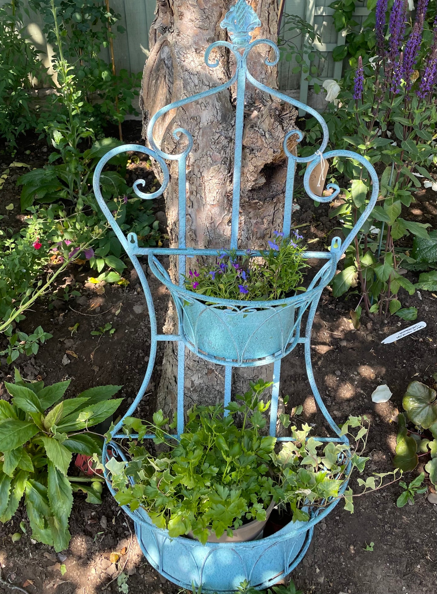 Blue Wall Bracket Garden Planters