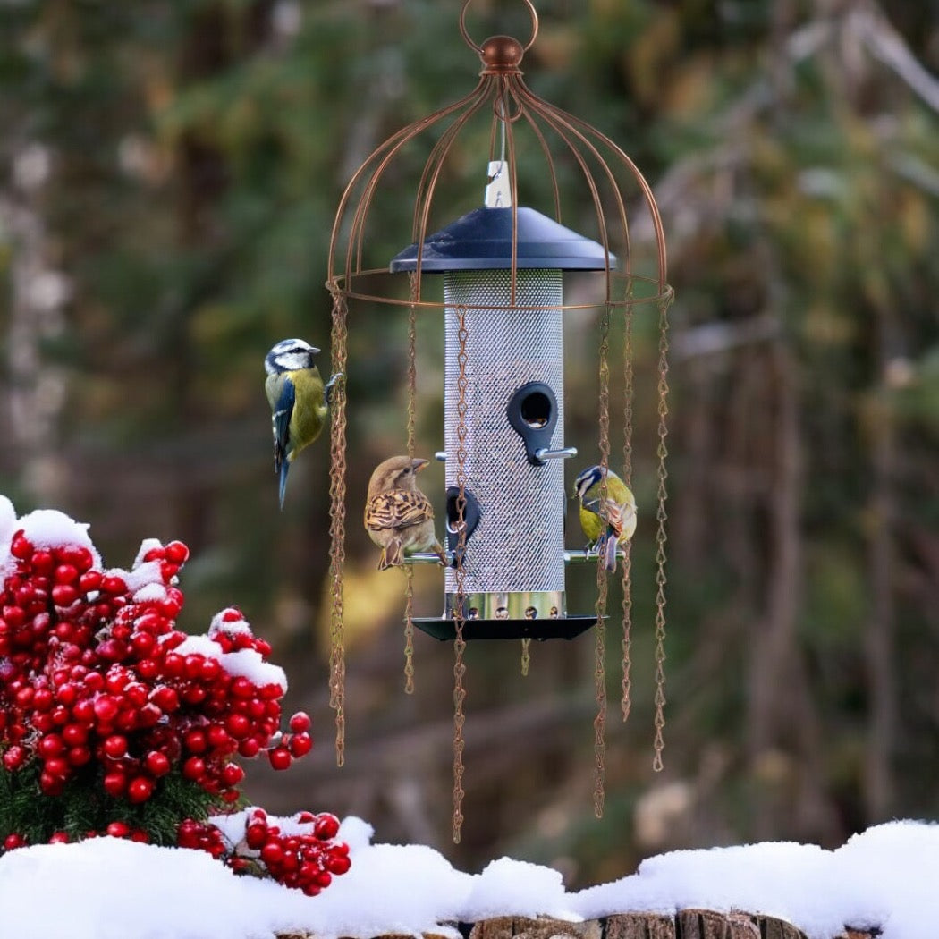 The Medusa Bird Feeder Protector from Fig and Rose. 