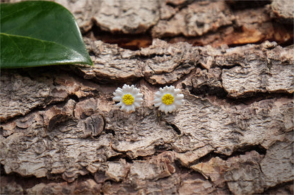 A Daisy Stud Earrings available to buy from Fig and Rose Home.
