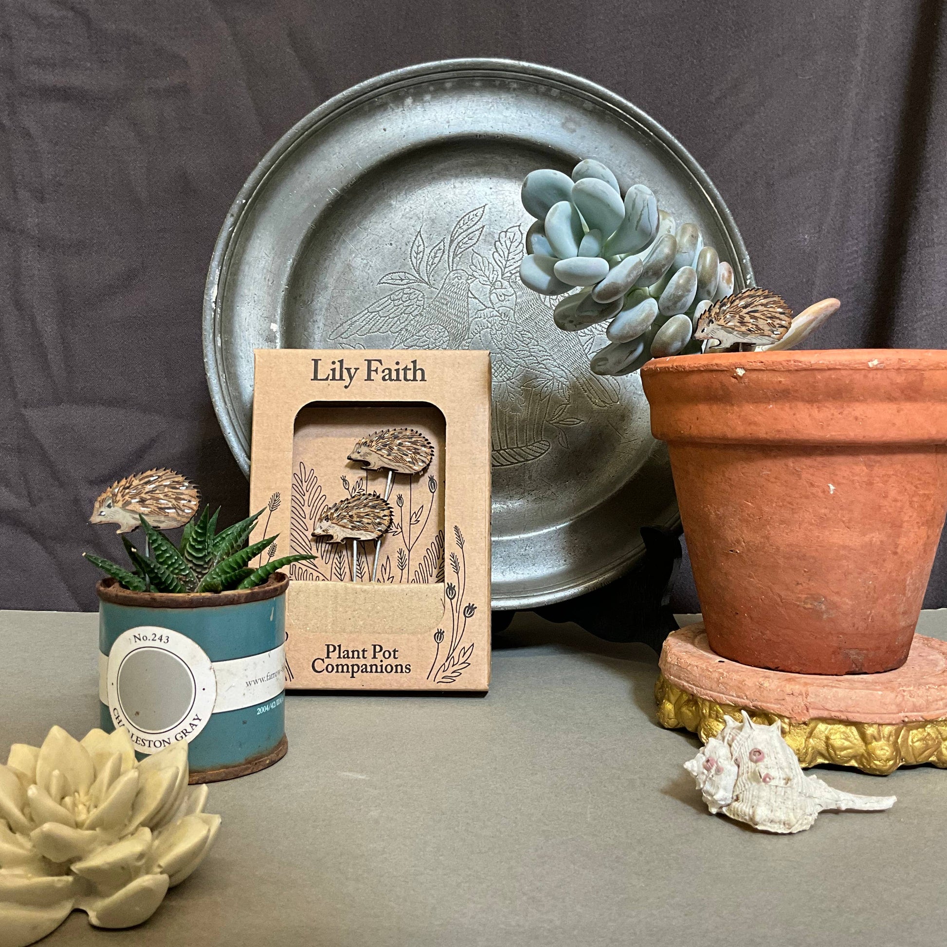 A Hedgehog Plant Pot Companions available to buy from Fig and Rose Home.