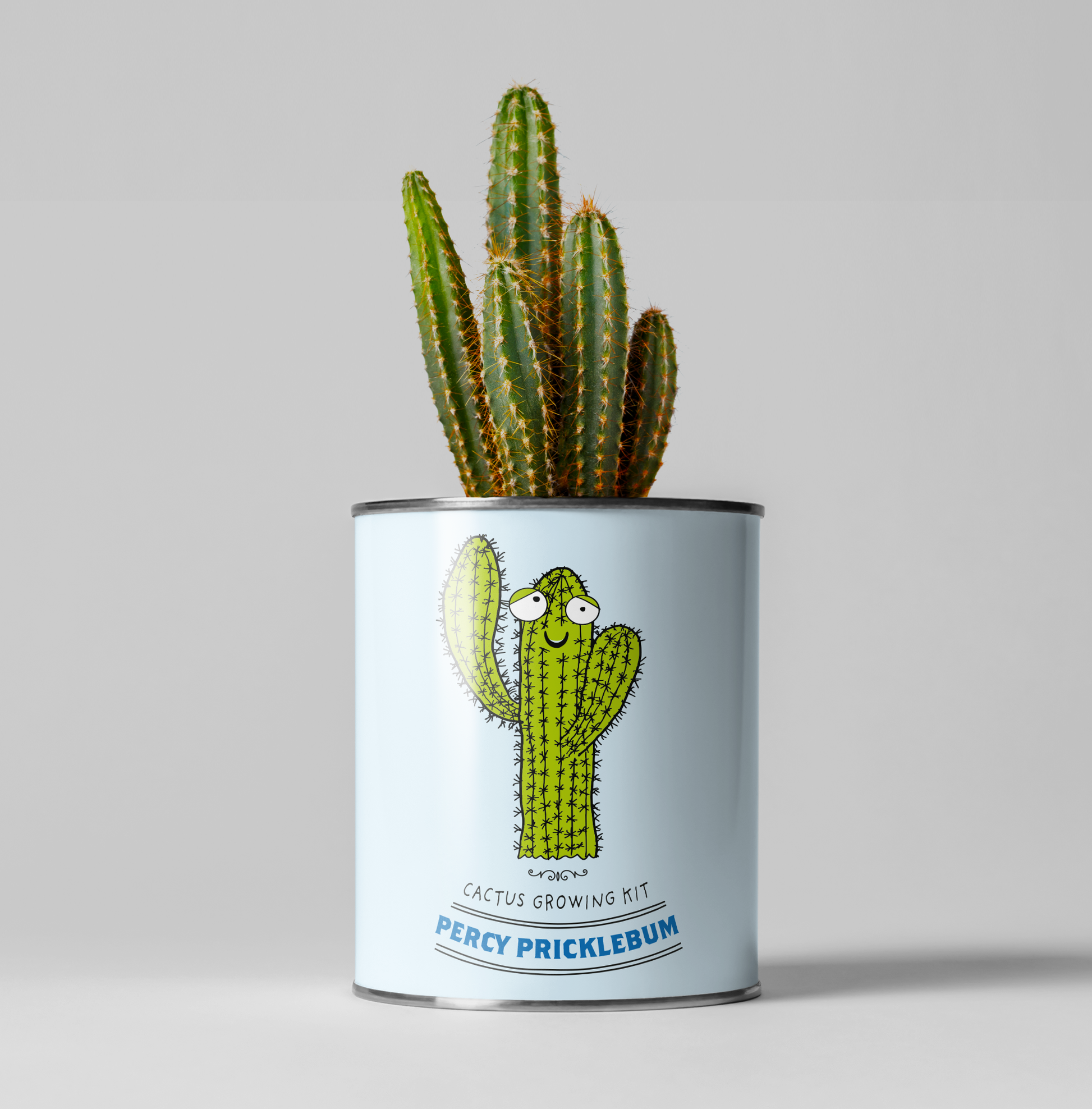 A Grow Your Own Cacti Kit available to buy from Fig and Rose Home.