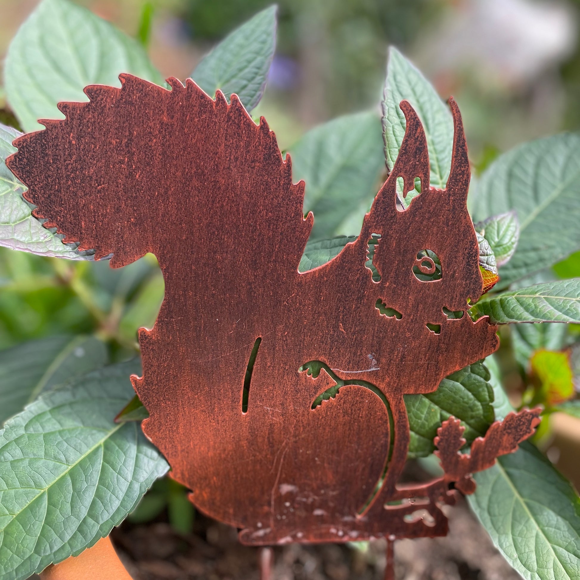 Squirrel Garden Stake from Fig and Rose