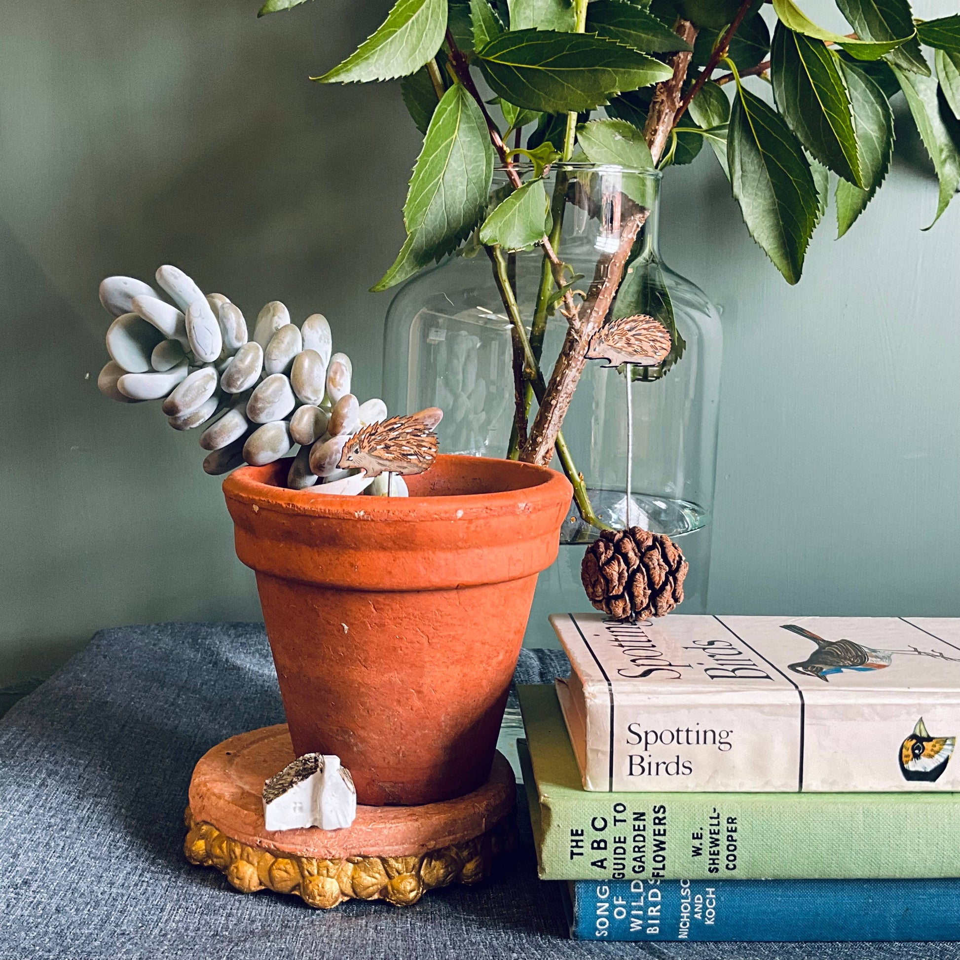 A Hedgehog Plant Pot Companions available to buy from Fig and Rose Home.