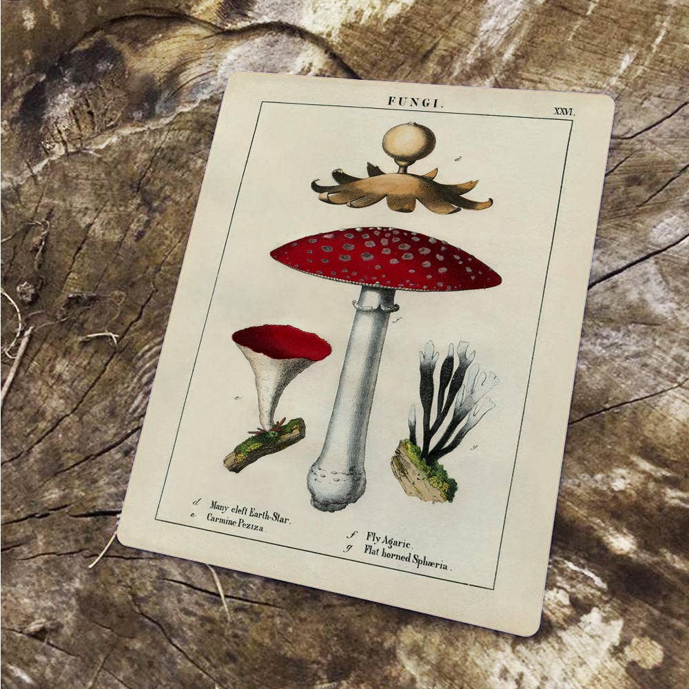 A Vintage Mushrooms Metal Sign available to buy from Fig and Rose Home.