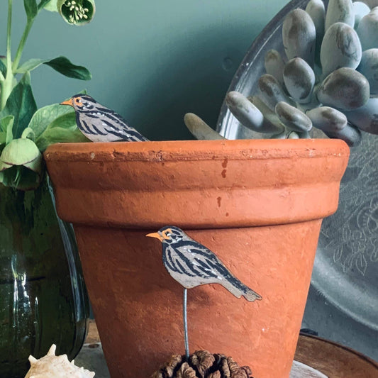 A Black Bird Plant Pot Companions available to buy from Fig and Rose Home.