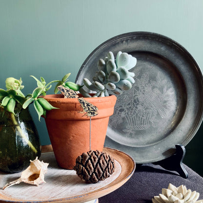 A Frog Plant Pot Companions available to buy from Fig and Rose Home.