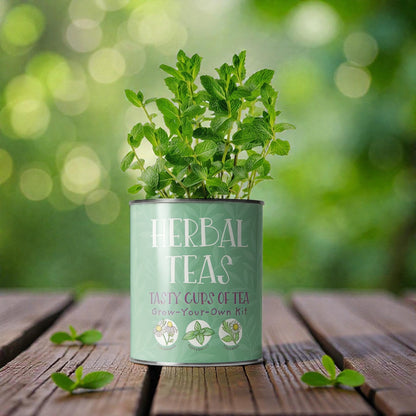 A Herbal Tea Growing Kit available to buy from Fig and Rose Home.