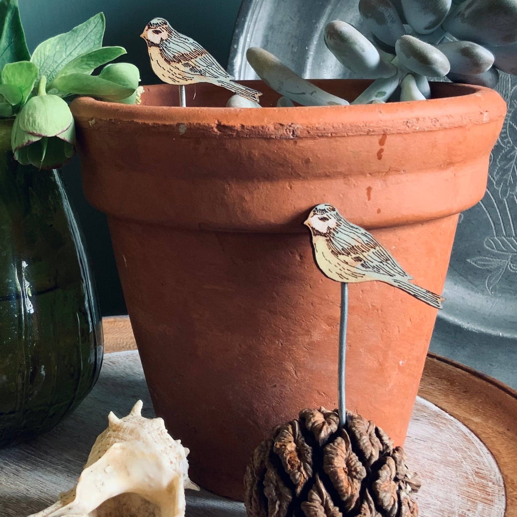 A Blue Tit Plant Pot Companions available to buy from Fig and Rose Home.