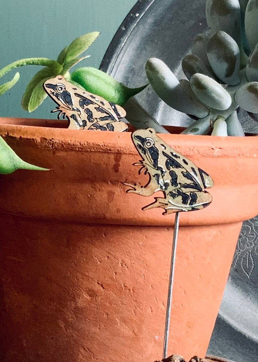 A Frog Plant Pot Companions available to buy from Fig and Rose Home.