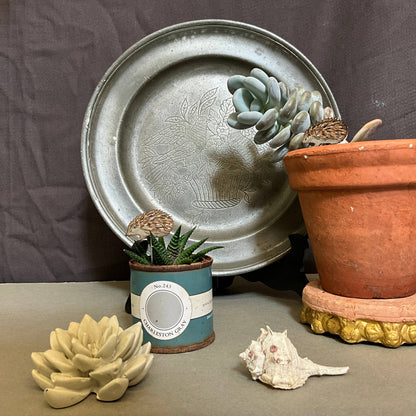 A Hedgehog Plant Pot Companions available to buy from Fig and Rose Home.