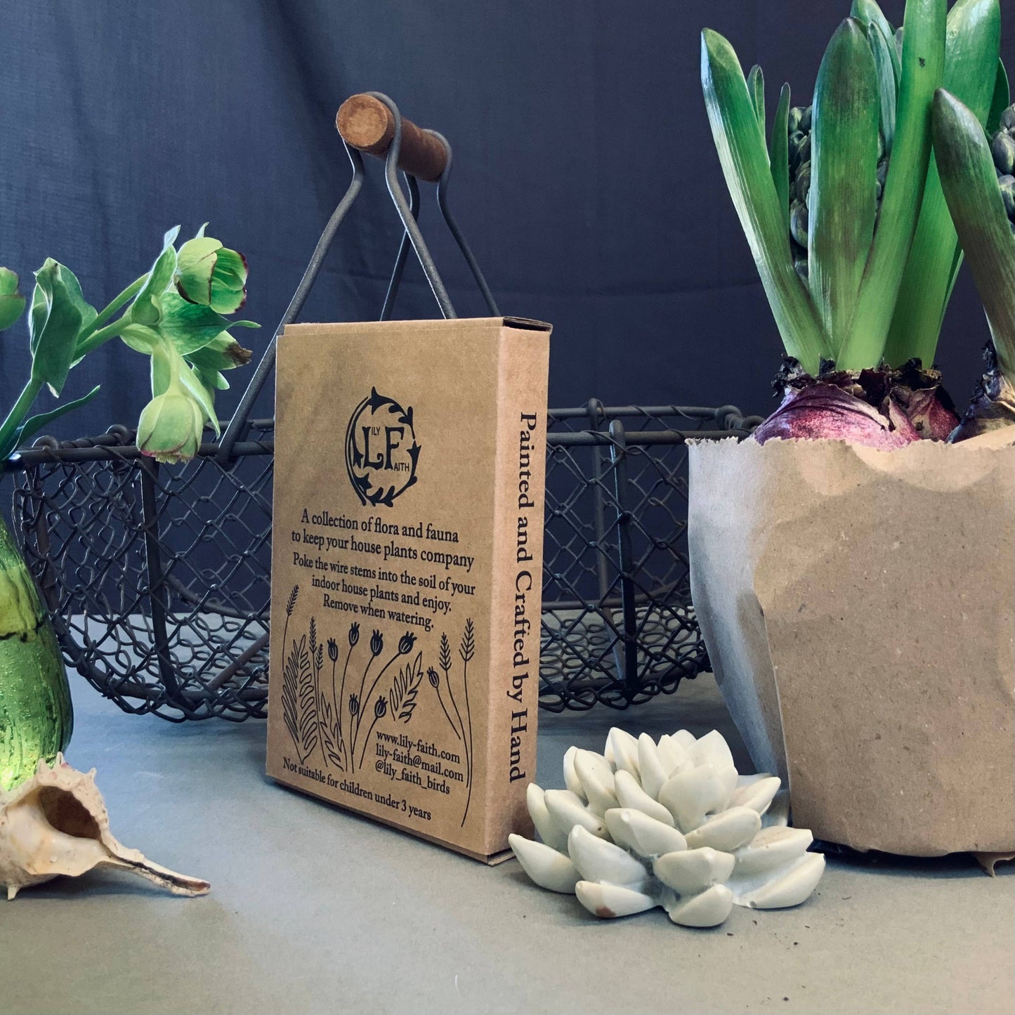 A Tortoiseshell Butterfly Plant Pot Companions available to buy from Fig and Rose Home.