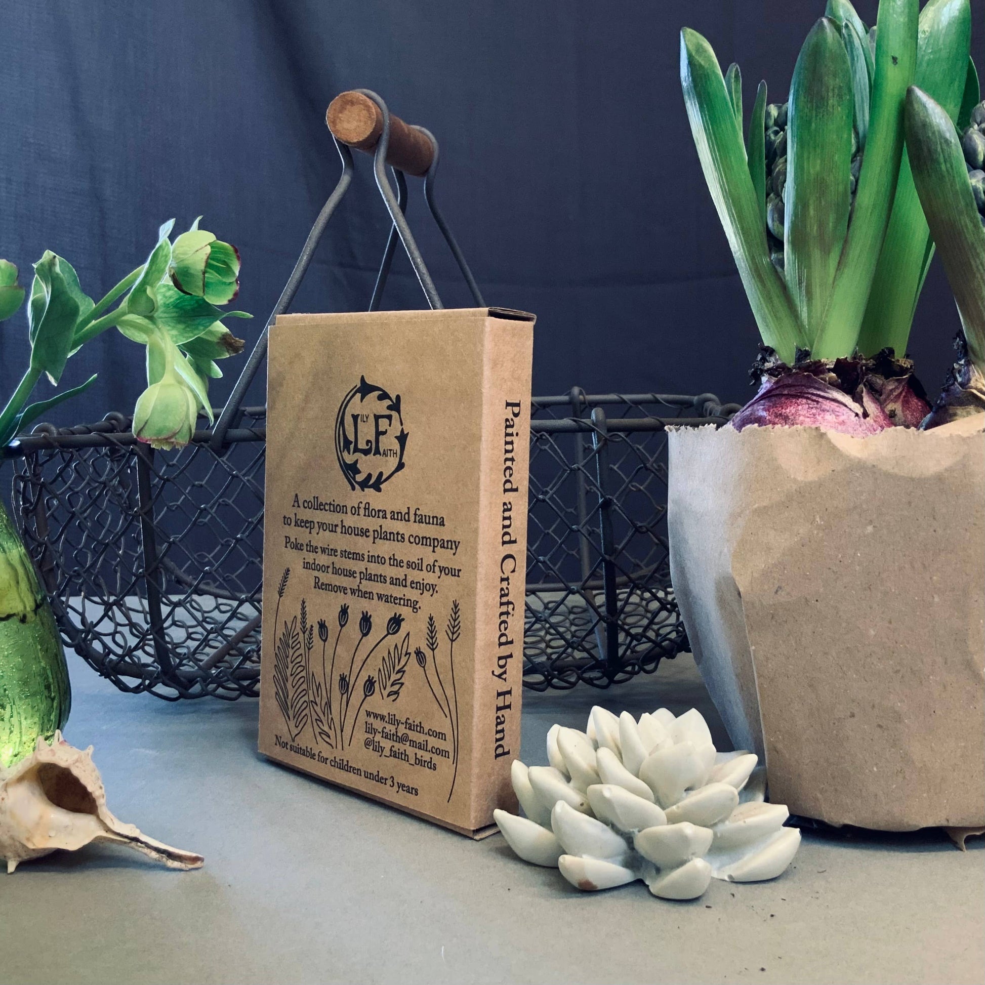 A Tortoiseshell Butterfly Plant Pot Companions available to buy from Fig and Rose Home.