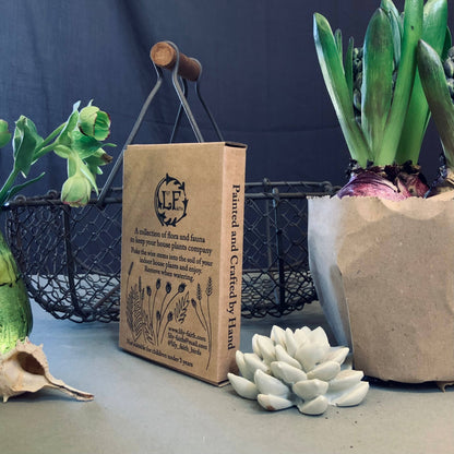 A Tortoiseshell Butterfly Plant Pot Companions available to buy from Fig and Rose Home.