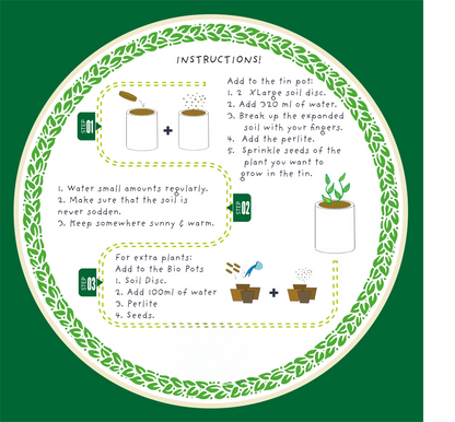 A Grow Your Own Cacti Kit available to buy from Fig and Rose Home.