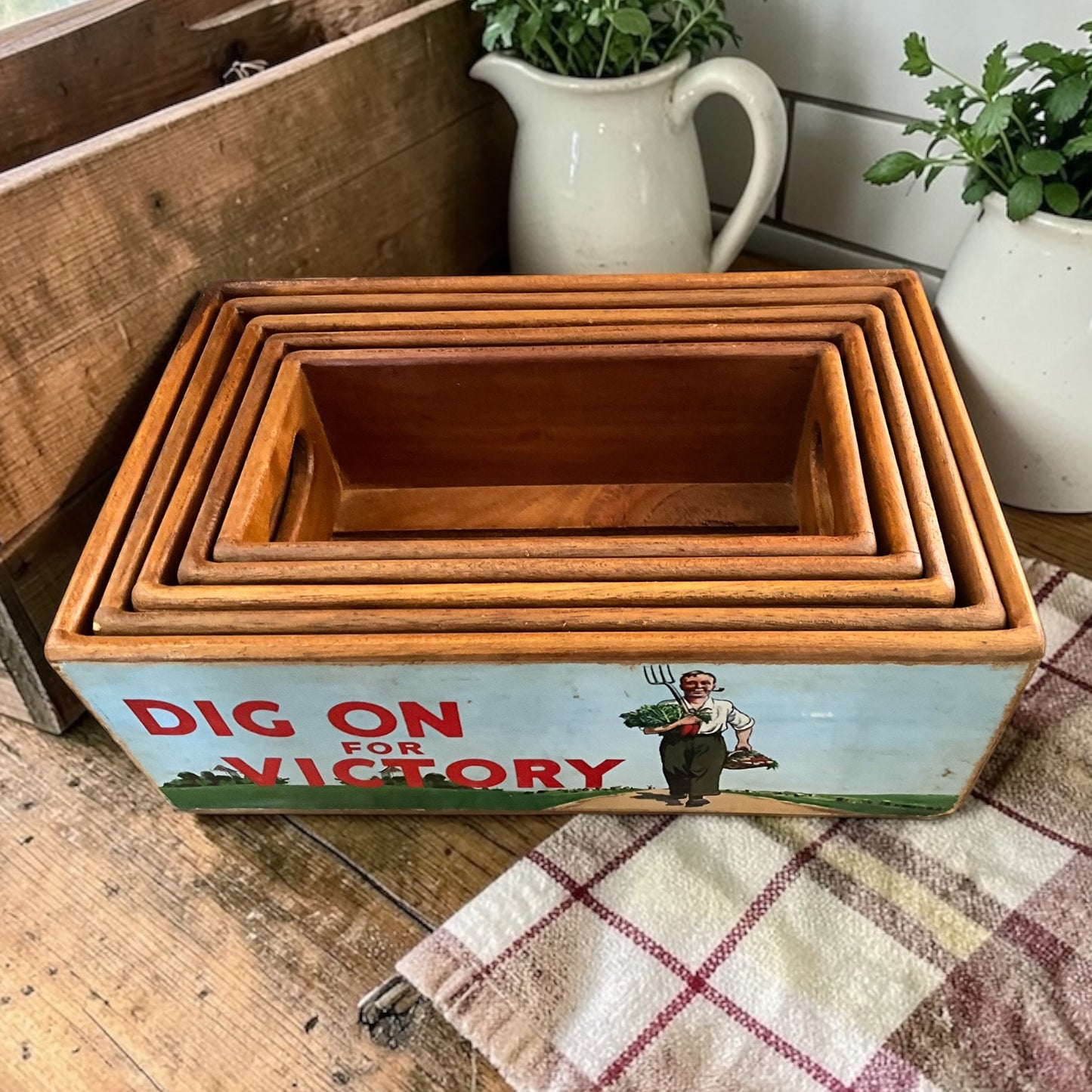 Set of 5 Wooden Garden Themed  Storage Crates