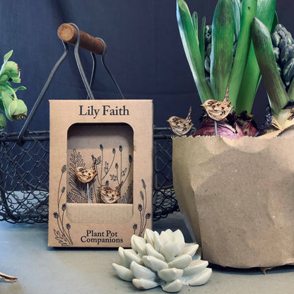 A Wren Plant Pot Companions available to buy from Fig and Rose Home.