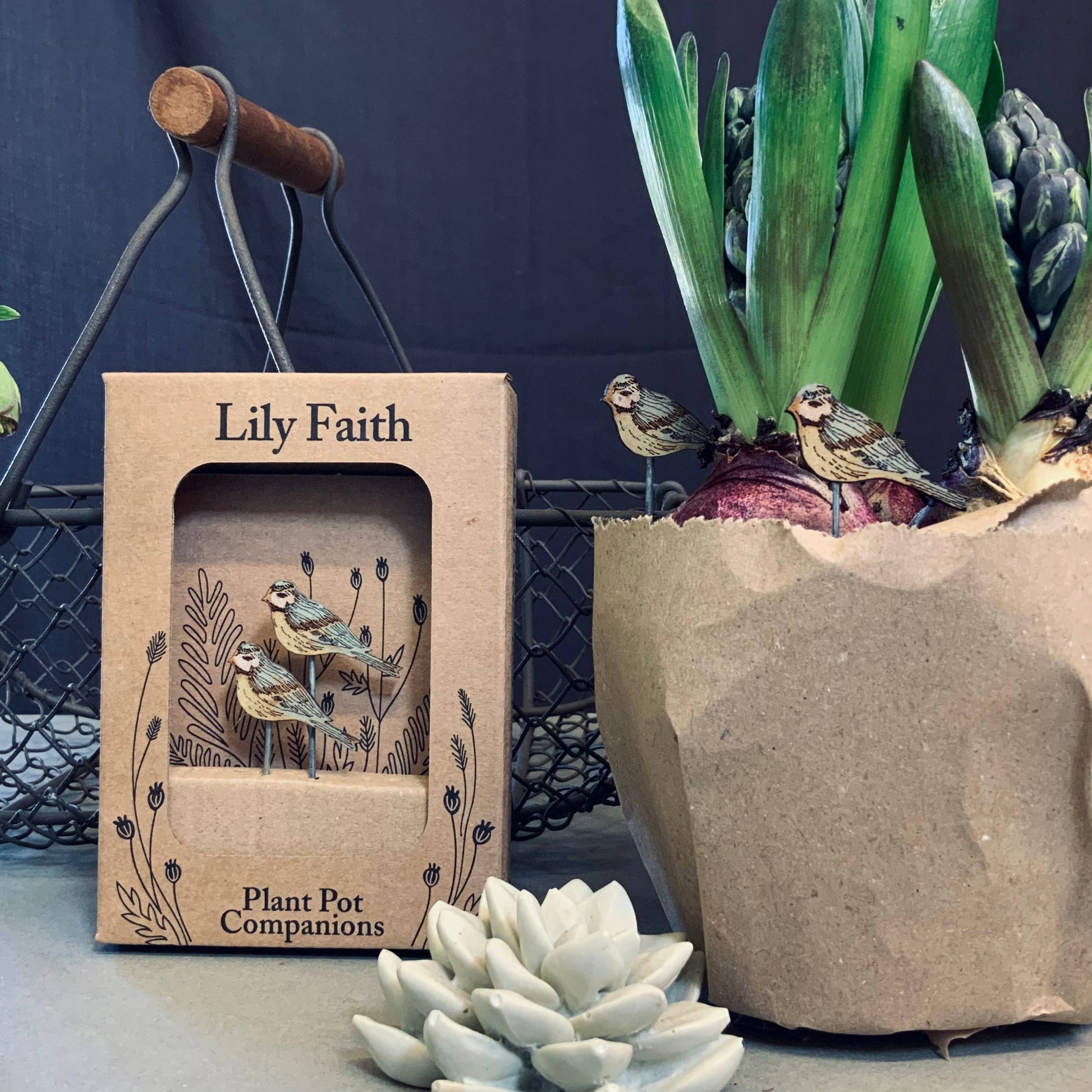 A Blue Tit Plant Pot Companions available to buy from Fig and Rose Home.