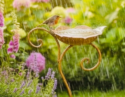 Cast Iron Bird Bath - Gold Tone