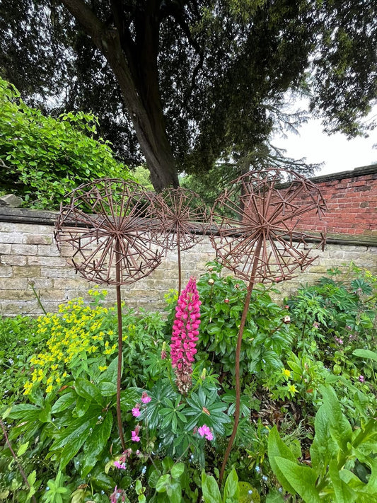 Rusty Allium Garden Stake