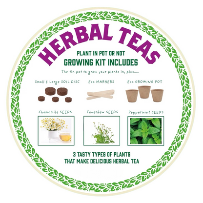 A Herbal Tea Growing Kit available to buy from Fig and Rose Home.