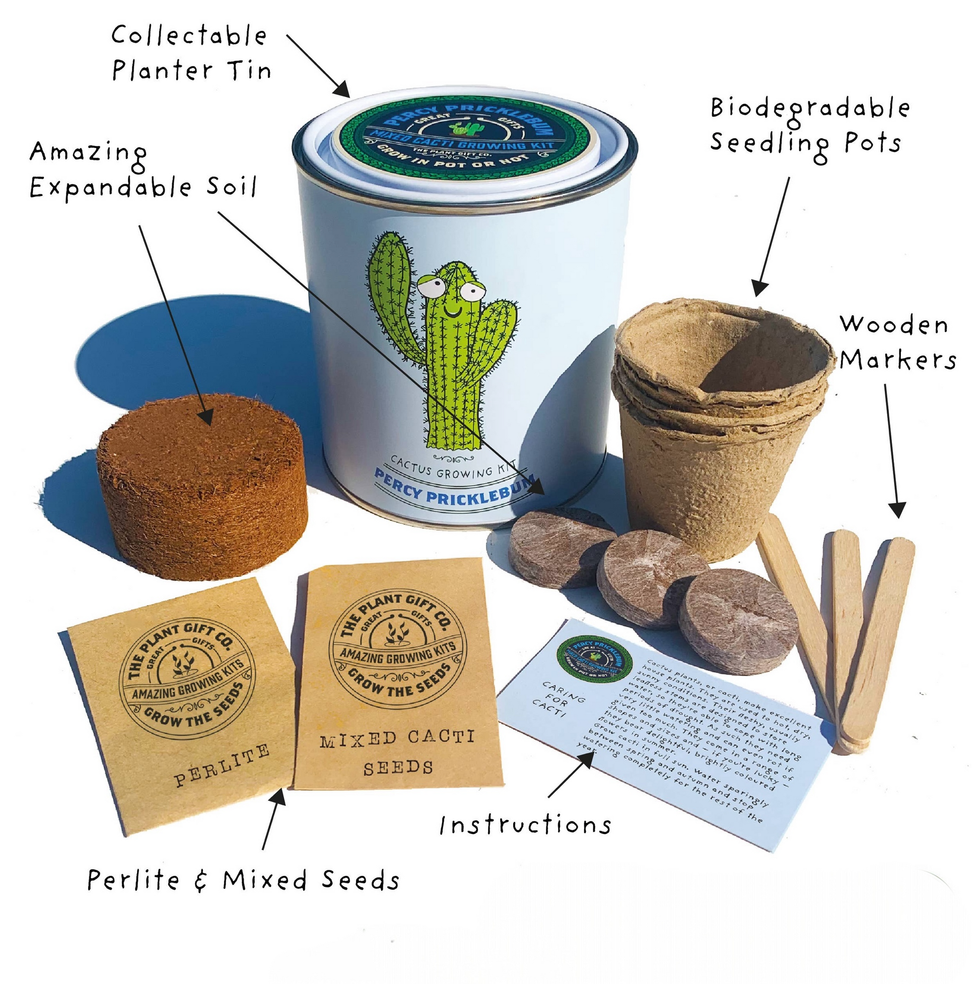 A Grow Your Own Cacti Kit available to buy from Fig and Rose Home.