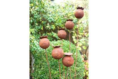 Rustic Poppy Seed Head Garden Stake