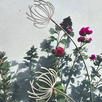 Clematis Garden Stake