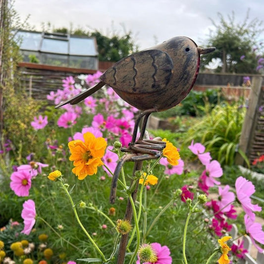 Robin on a Stick Garden Stake