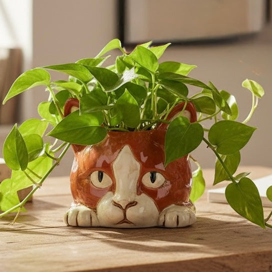 Ceramic Cat Plant Pot Holder