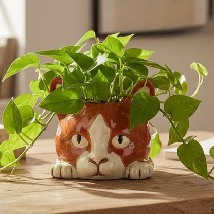 Ceramic Cat Plant Pot Holder