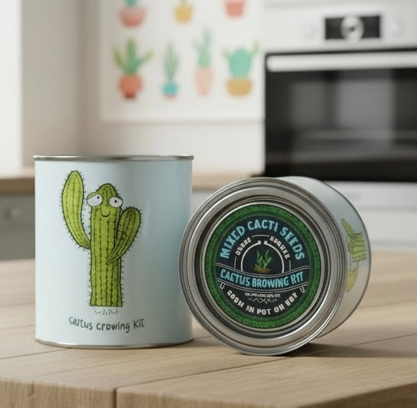 A Grow Your Own Cacti Kit available to buy from Fig and Rose Home.