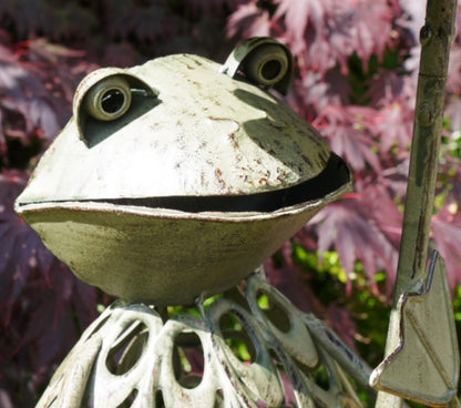 Frog Statue Bird Feeder