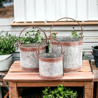 Pail Galvanised Planters