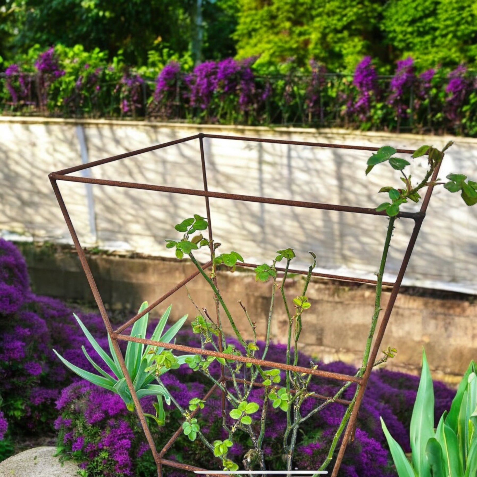 Square Peony Plant Supports from Fig and Rose.