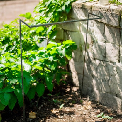 Straight Border Supports for Plants - Packs of Four