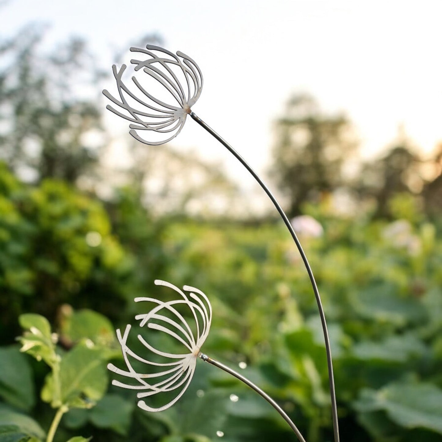 Clematis Garden Stake