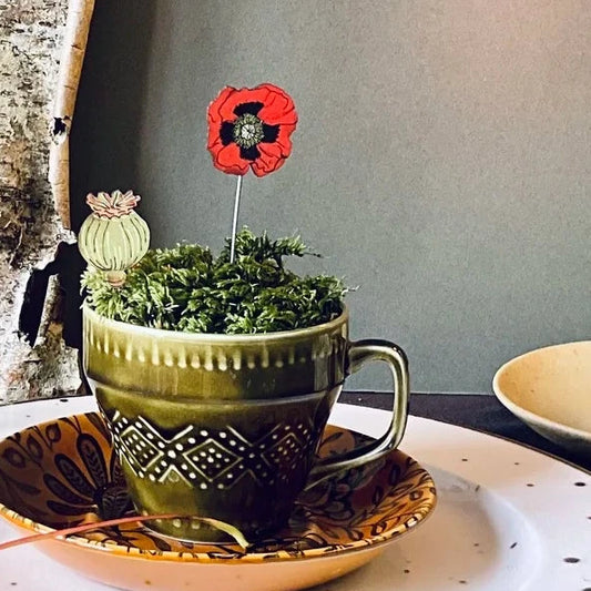 Poppy Plant Pot Companions