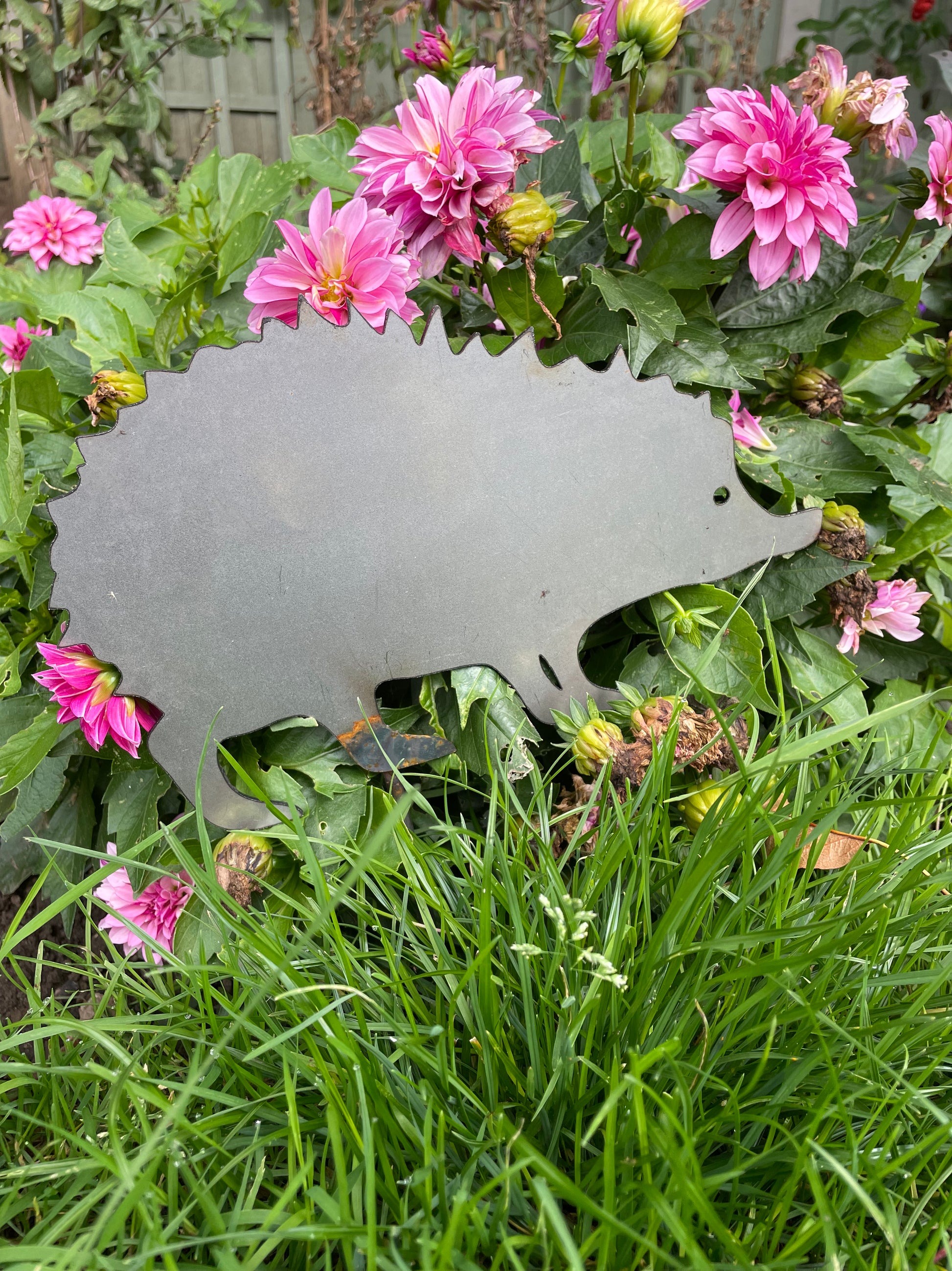 Hedgehog Garden Stake - Ready to Rust from Fig and Rose