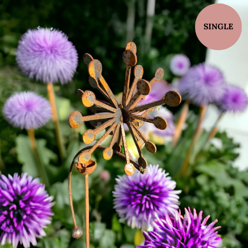 Allium Wind Rocker