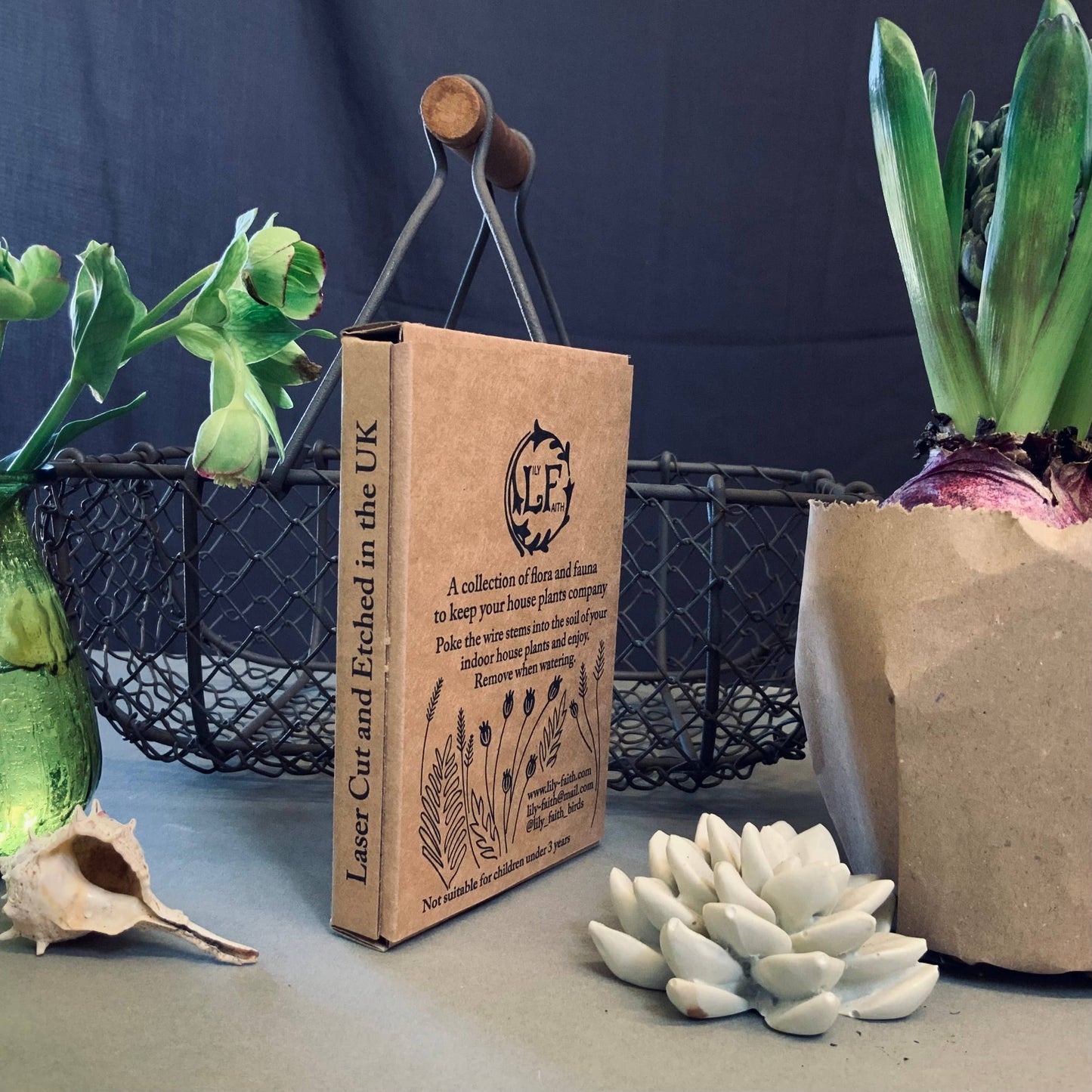 A Tortoiseshell Butterfly Plant Pot Companions available to buy from Fig and Rose Home.