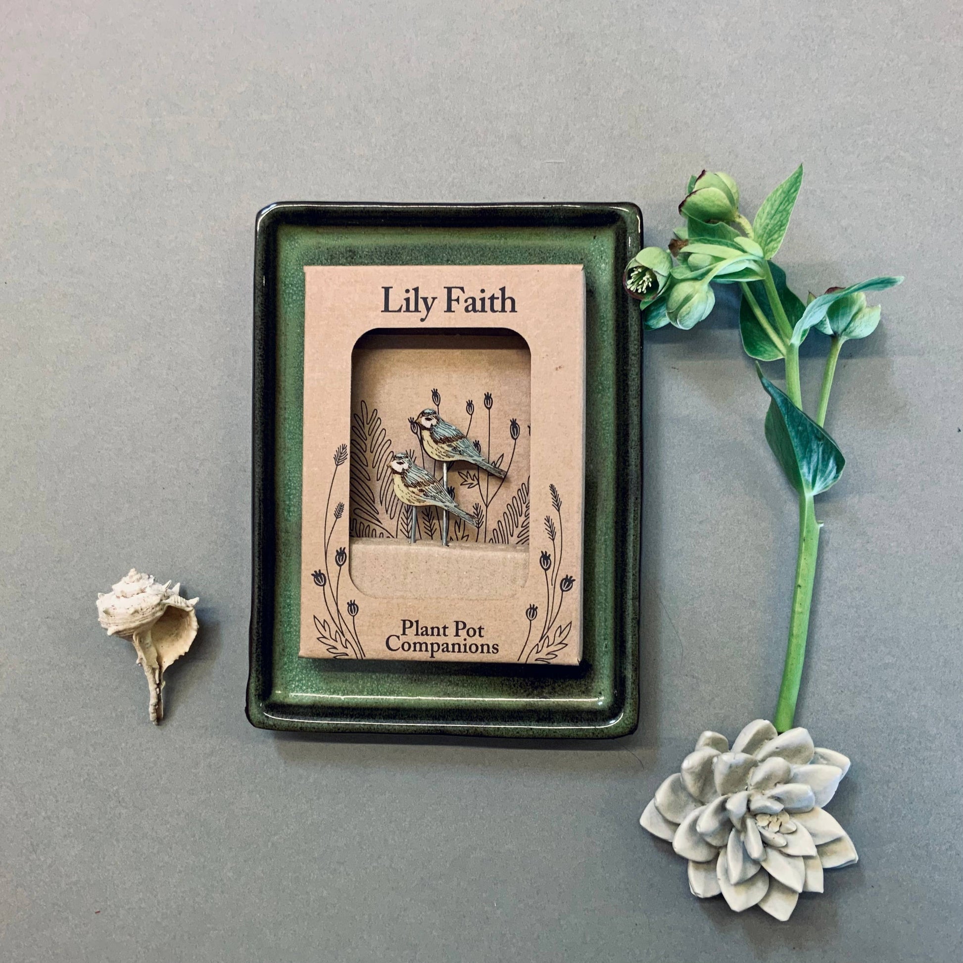 A Blue Tit Plant Pot Companions available to buy from Fig and Rose Home.