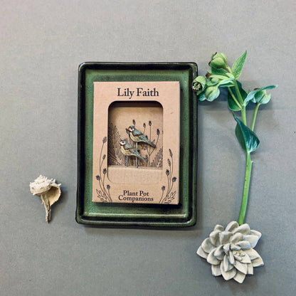 A Blue Tit Plant Pot Companions available to buy from Fig and Rose Home.