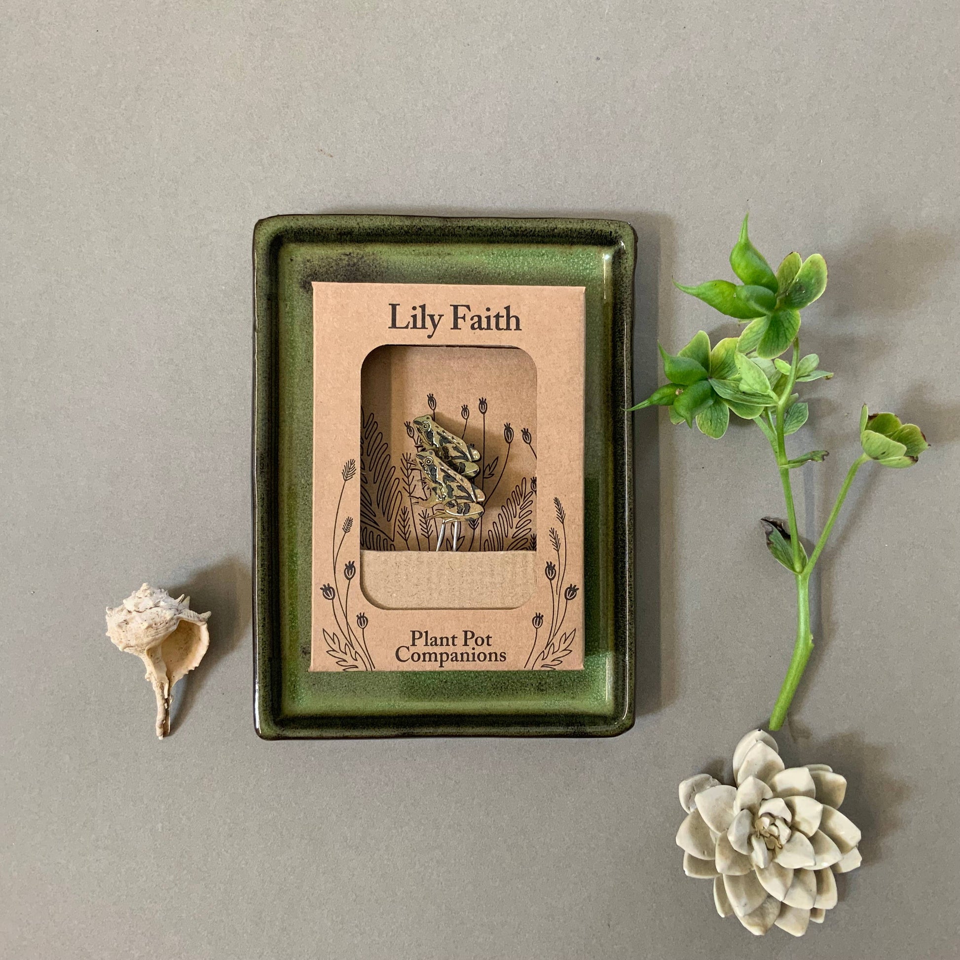 A Frog Plant Pot Companions available to buy from Fig and Rose Home.