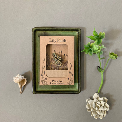 A Frog Plant Pot Companions available to buy from Fig and Rose Home.