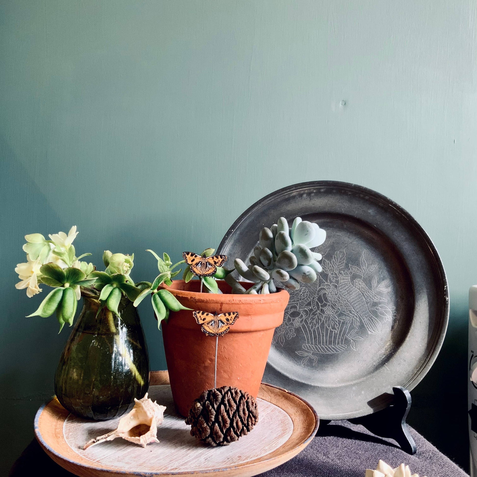 A Tortoiseshell Butterfly Plant Pot Companions available to buy from Fig and Rose Home.