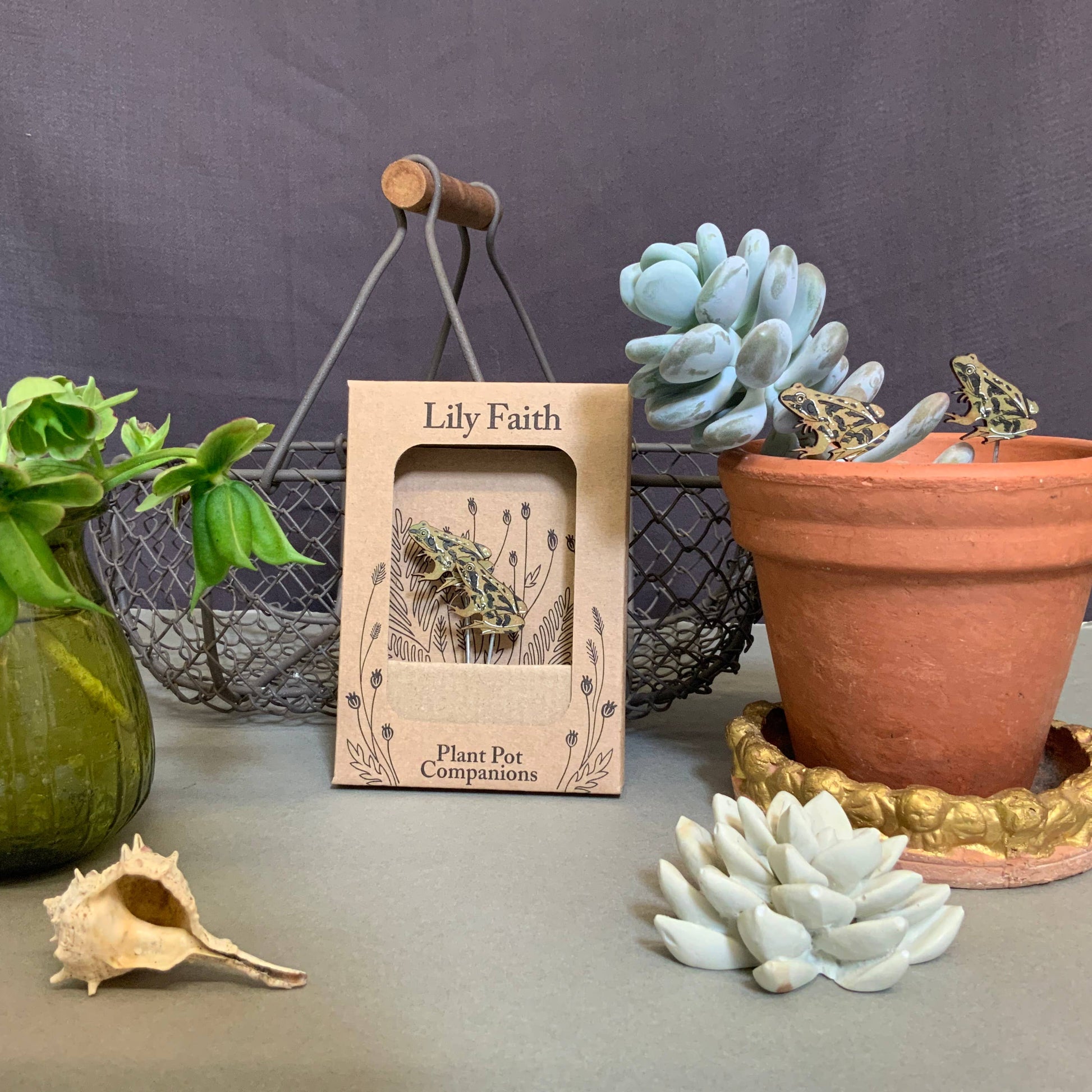 A Frog Plant Pot Companions available to buy from Fig and Rose Home.