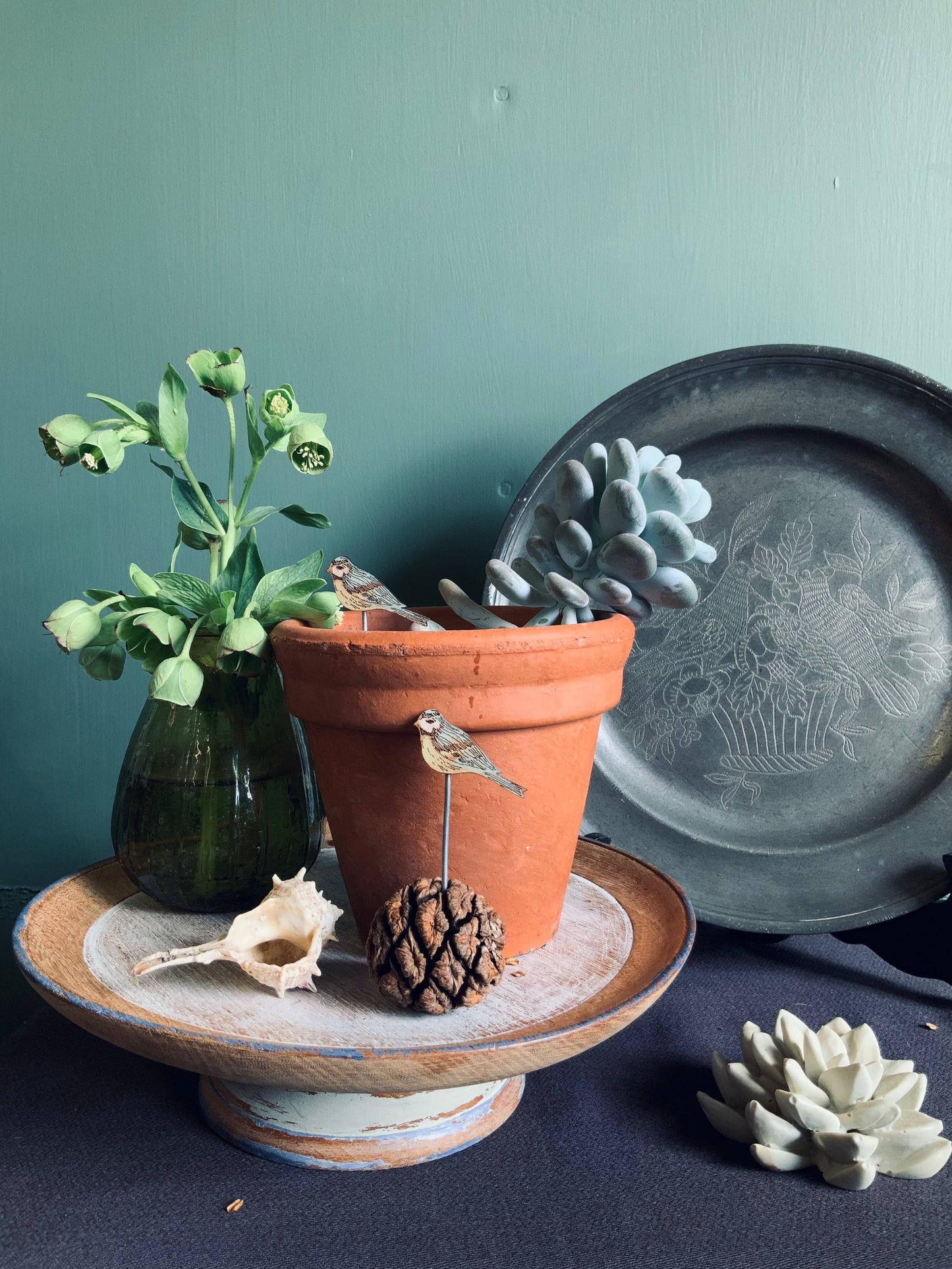 A Blue Tit Plant Pot Companions available to buy from Fig and Rose Home.